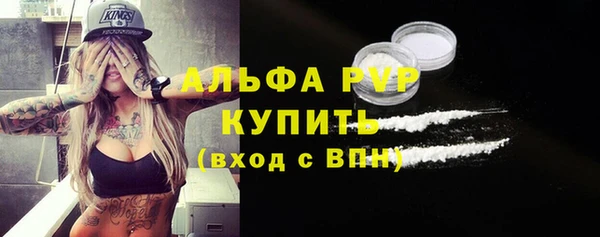 ПСИЛОЦИБИНОВЫЕ ГРИБЫ Чердынь